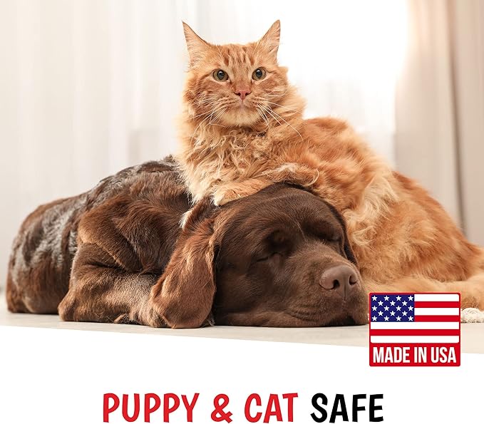 Warren London - Magic Bright Dog Shampoo, Whitening Shampoo for White Dogs & Lighter Dog Coats, Grooming Supplies are Puppy and Cat Safe, Cherry Blossom Scent, 128 Ounce, Made in USA