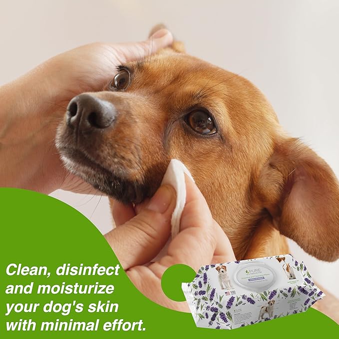 Pure and Natural Pet Grooming and Cleansing Dog Wipes (Lavender and Rosemary) 100 ct