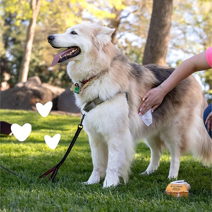 earthbath, Oatmeal & Aloe Grooming Wipes - Dog Wipes for Paws and Butt, Pet Wipes for Dogs & Cats, Helps Relieve Itchy & Dry Skin, Made in USA, Cruelty-Free - Vanilla & Almond 100 Count (2 Pack)