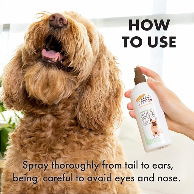 Palmer's for Pets Coconut Oil Formula Strength & Shine Waterless Bath Spray for Dogs, Coconut No Rinse Waterless Dry Dog Spray for Instant Refresh Without a Bath, Bath Spray for Dogs - 8 oz (FF15583)