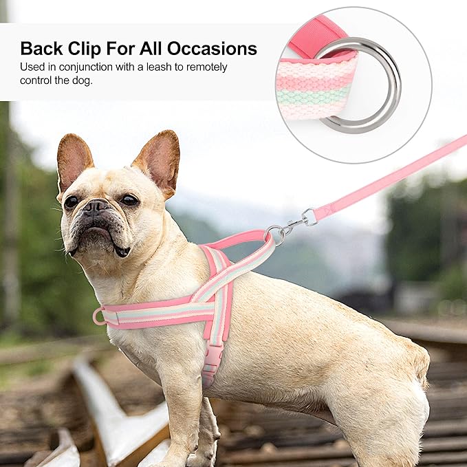 Beirui No Pull Dog Harness for Small Medium Dogs Puppies, Soft Neoprene Quick Fit Harness with Durable Front Clip & Back Clip, Lightweight Easy for Daily Walking (Striped Pink,XS)
