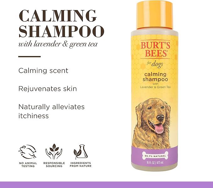 Burt's Bees for Pets Calming Dog Shampoo with Lavender and Green Tea, 2 Pack, 95% Natural Origin Formulas, Calming Lavender Dog Shampoo - Gentle Dog Shampoo, Best Dog Shampoo, Lavender, 2pk, 16 oz