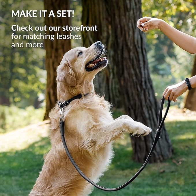 CollarDirect Rolled Leather Dog Collar, Soft Padded Round Puppy Collar, Handmade Genuine Leather Collar Dog Small Large Cat Collars 13 Colors (15-18 Inch, Black Smooth)