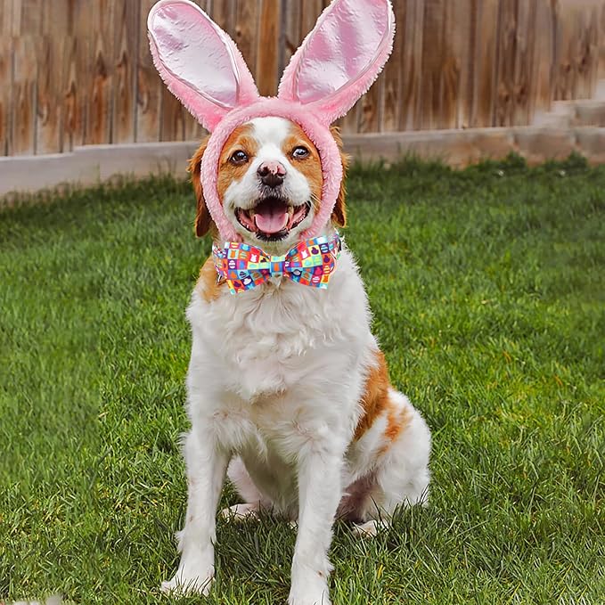 Unique Style Paws Easter Day Dog Collar with Bow Colorful Egg Rabbit Dog Collar Bowtie Bowtie Collar for Large Medium Small Dogs