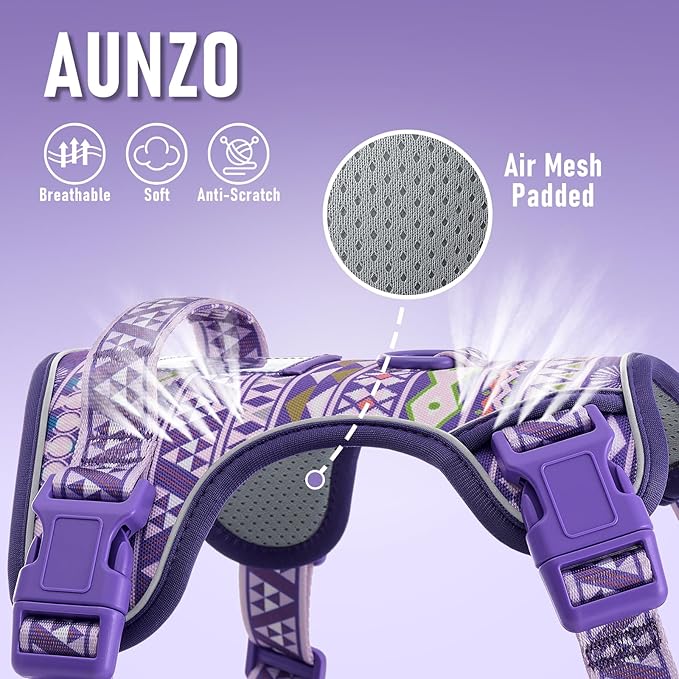 Dog Harness for X-Small Dog Breed, Light Pet Vest Harness with 2 Leash Clips and 3 Buckles, Easy to Wear, Adjustable Reflective Soft Padded, Boston Terrier, Beagle, Poodles, XS