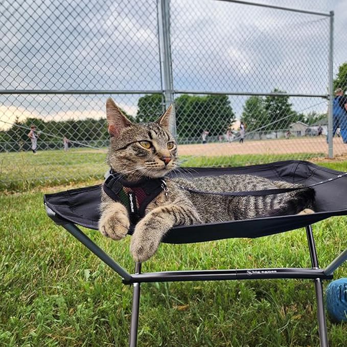 Voyager Step-in Lock Dog Harness w Reflective Dog Leash Combo Set with Neoprene Handle 5ft - Supports Small, Medium and Large Breed Puppies/Cats by Best Pet Supplies - Army/Black Trim, XL