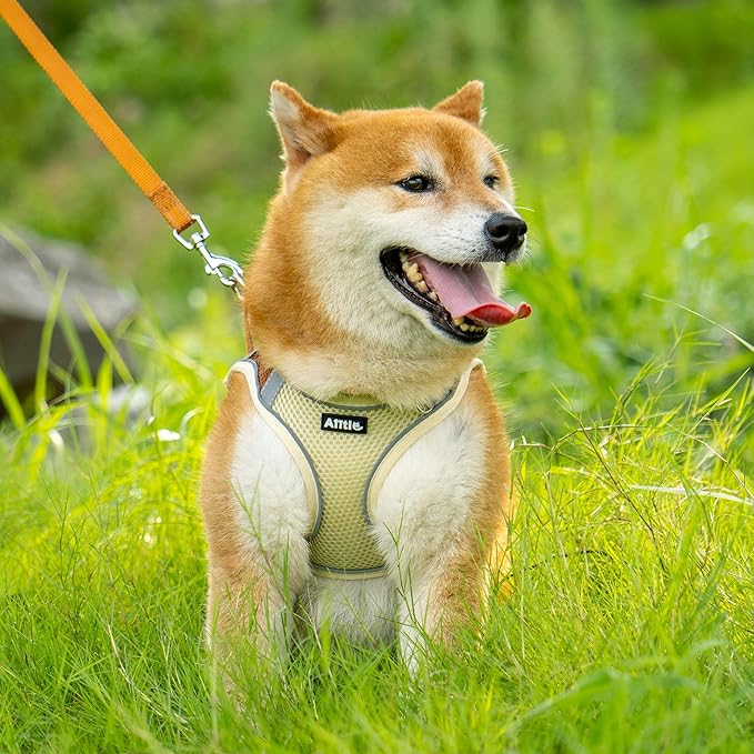 AIITLE Escape Proof Dog Harness - Step in Adjustable Dog Harness No Choke Over with Breathable Mesh and Quick-Release Buckle for Spring- Outdoor Walking, Camping, Training for Medium Dogs Beige XL
