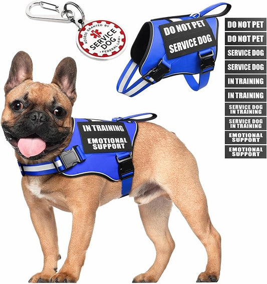 Service Dog Vest Harness+ID Tag+10 Patches,Metal Serivce Dog Tag&Reflective Emotional Support Dog Vest with Handle for Small Dogs,Easy Put On/Off for Training/Walking/Everyday Blue S