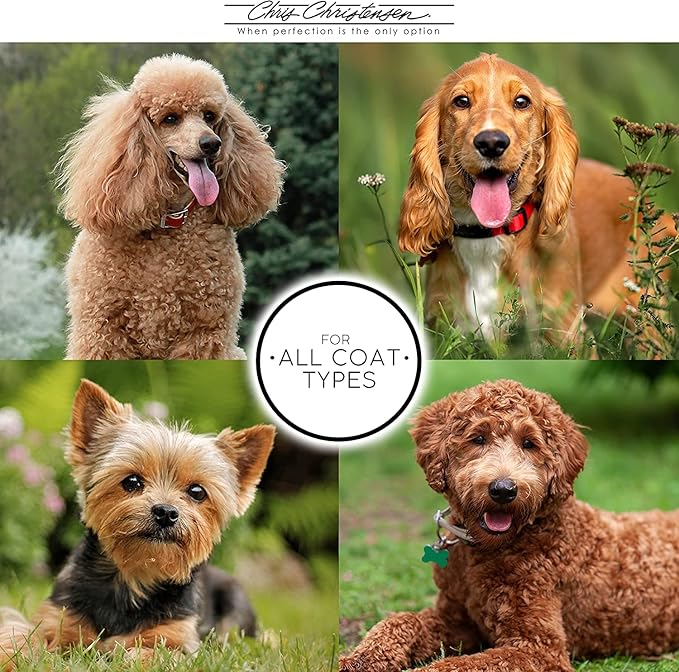 Chris Christensen ProLine Self Rinse Plus Dog Shampoo, Groom Like a Professional, Brightens and Whitens, No Rinse Cleaner, Made in USA