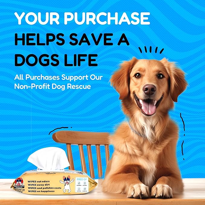 Pacific Pups Products Dog Wrinkle Wipes French Bulldog - 100 Count - Gentle, Plant Based Bulldog Face Wipes - Unscented Dog Wipes for Paws and Butt, Frenchie Wrinkle Wipes for Dogs