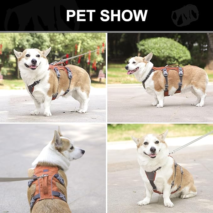 Small Dog Harness Escape Proof Dog Harness with Handle - Reflective Dog Vest, Breathable Soft Full Body Dog Harness for Small Dogs Walking, Training (Orange, S)