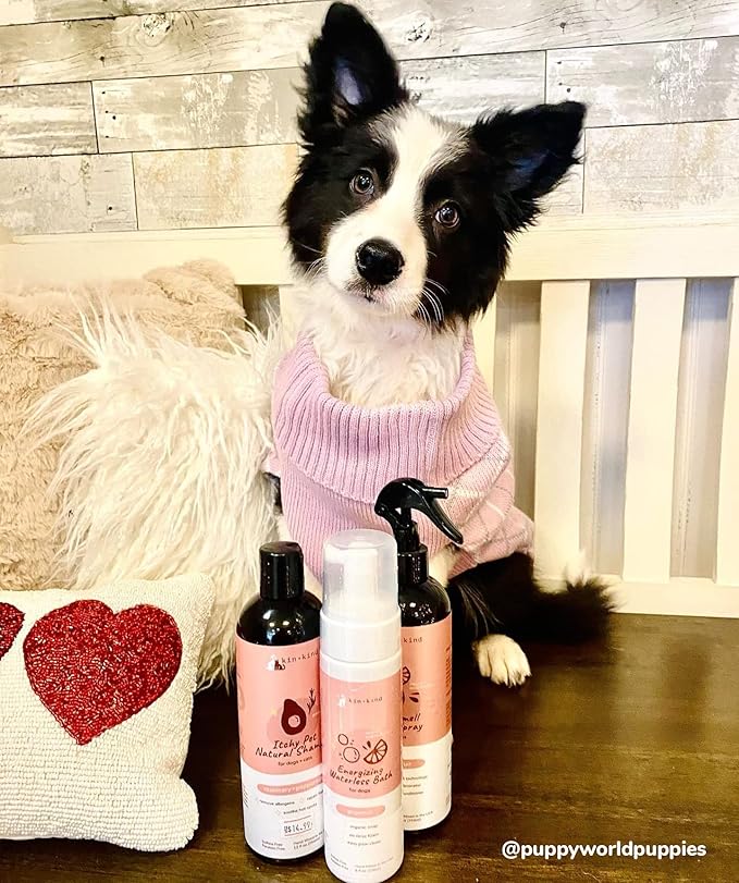 kin+kind Waterless Dry Shampoo for Dogs - Rinse-Free, Eliminate Itch and Odor, Natural Formula with Witch Hazel, Coconut Oil, Olive Oil and Grapefruit - Made in USA