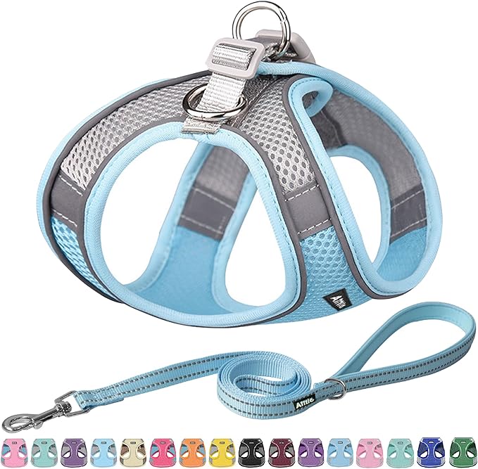 AIITLE Step in Dog Harness and Leash Set - Spring No Pull Escape Proof Vest Harnesses with Soft Mesh and Reflective Bands, Adjustable Pet Outdoor Harnesses for Small and Medium Dogs Blue M