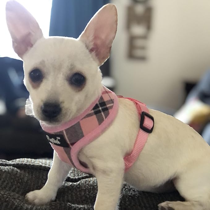 PUPTECK Soft Mesh Dog Harness and Leash Set Pet Puppy Cat Comfort Padded Vest No Pull Harnesses, Light Pink, XS