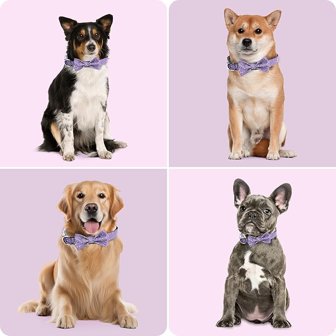Dog Collar with Bow for Small Medium Large Dogs, Cute Bling Dog Bow Tie Collar with Metal Buckle, Soft & Durable for Small Dogs Walking (Purple, S)