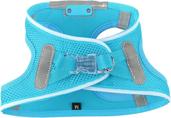 Light Up Dog Harness,LED Dog Harness Rechargeable, Lighted Dog Vest Harness for Night Walking,Reflective Safety Vest for Small Medium Large Dogs,Adjustable Soft Mesh,Blue,Large