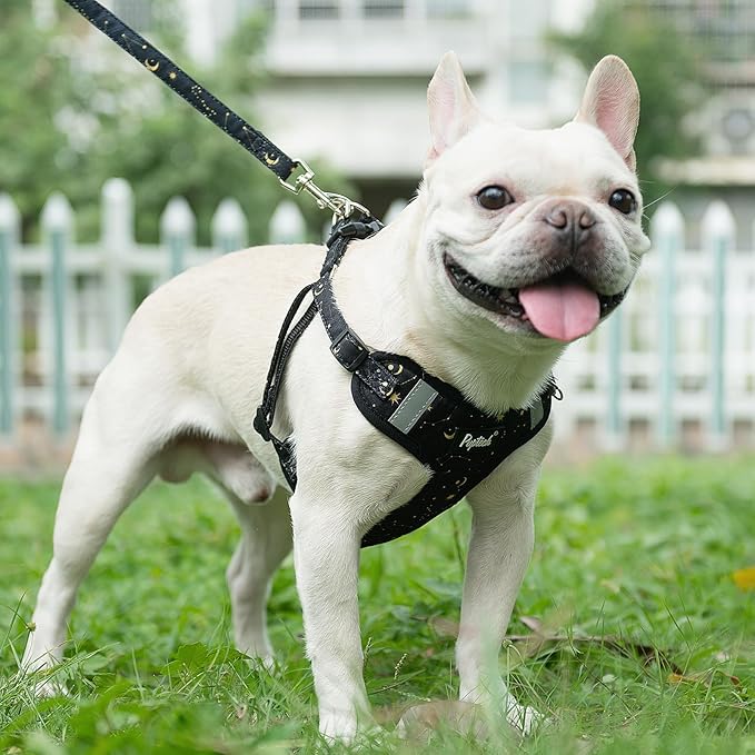PUPTECK No Pull Dog Harness and Leash Set Reflective No Choke Step in Puppy Halter for XS Small and Medium Sized Dogs, Black, Printed Fabric, L