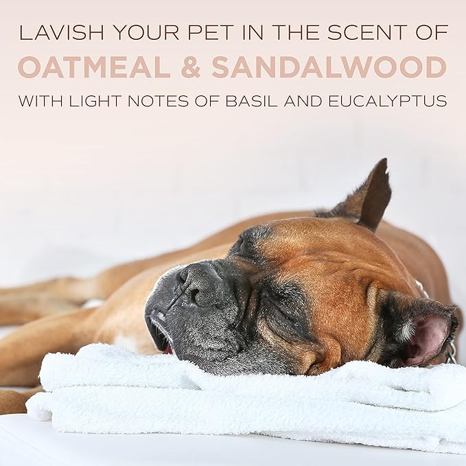 TropiClean SPA Lavish Dog Shampoo | Sporty Scented For Him Deodorizing Dog Shampoo | Naturally Derived Salon Grade Ingredients | Made in the USA | 1 Gallon