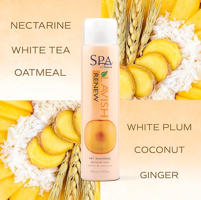 TropiClean SPA Lavish Dog Shampoo | Renew Deodorizing Dog Shampoo | Naturally Derived Salon Grade Ingredients | Made in the USA | 16oz