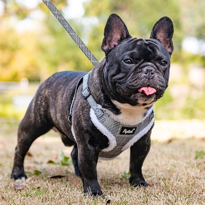 PUPTECK No Pull Dog Harness and Leash Set Reflective No Choke Step in Puppy Halter for XS Small and Medium Sized Dogs, Grey Plaid, Plush, L