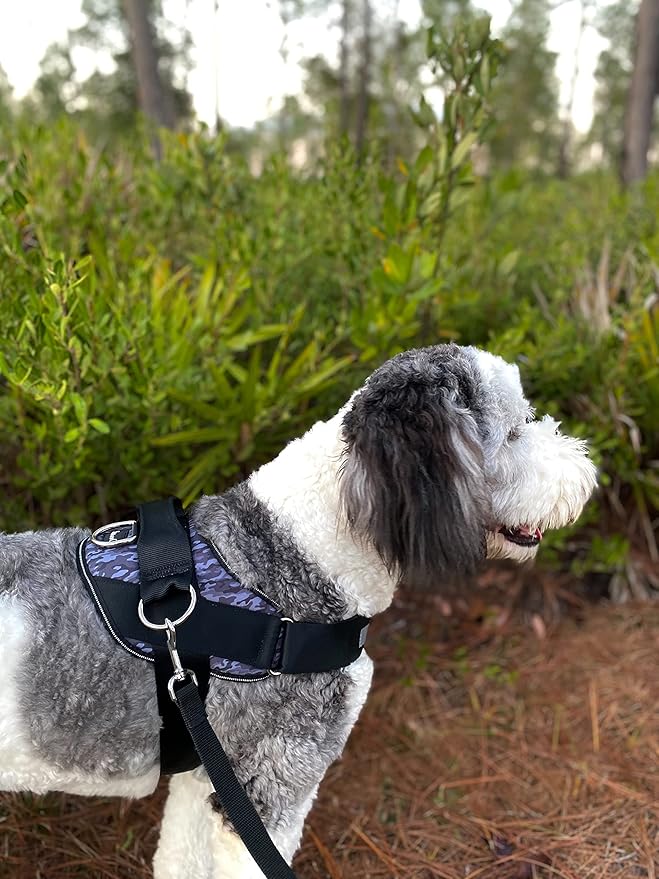 ShawnCo Essential Dog Harness, No-Pull Pet Vest with 3 Leash Clips, No Choke, Reflective, Adjustable and Padded, for Easy Walking and Training for Small, Medium and Large Dogs (Black Camo, XS)