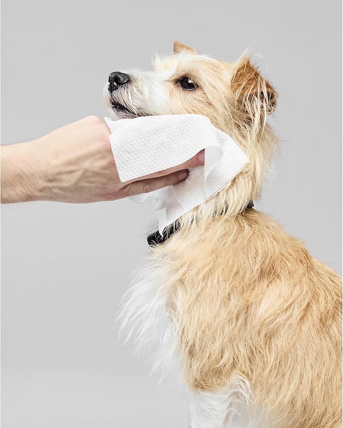 Fragrance Free Wipes, Gentle Multi-Purpose Cleansing Towelettes