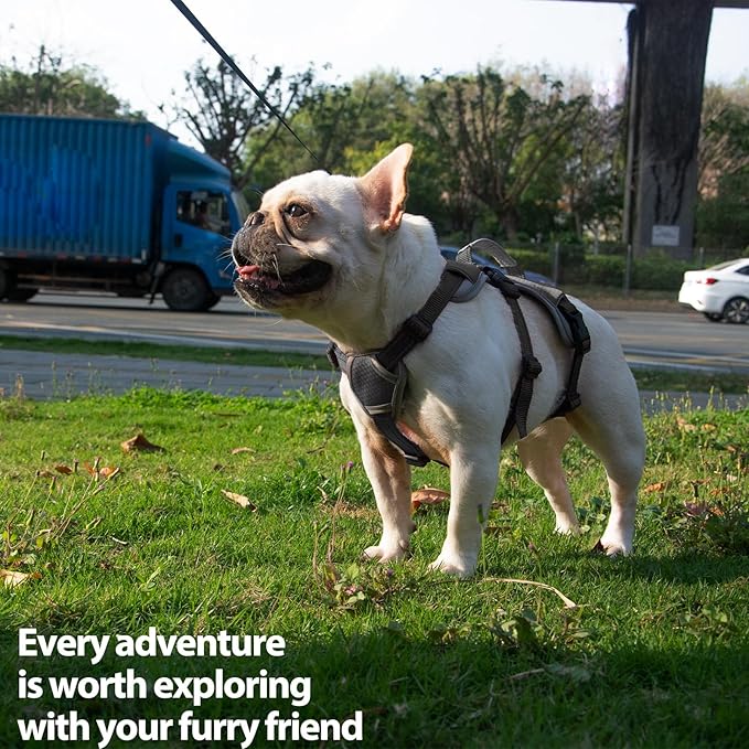 Escape Proof Dog Harness, Escape Artist Harness, Reflective Dog Harness with Handle, Durable,Adjustable Vest for Small Medium Large Dogs Walking, Training, and Running Gear(Black, S)