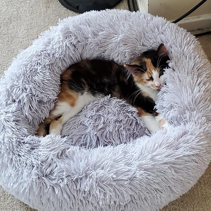 Calming Dog Bed for Small Dogs Round Fluffy Self Warming Pet BedGray Donut Cuddler pet Bed for PuppiesXS Dog Bed Washable.