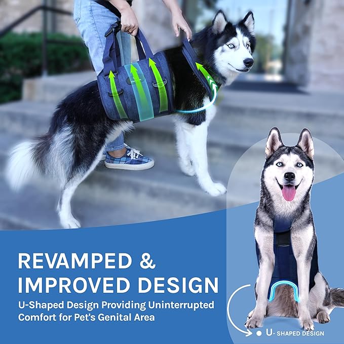 Dog Lift Harness and Carry Sling: Large Pet Rehab Vest w/Front & Rear Handle & U-Shaped - Hind Leg Support-Assist Disabled, Injured, Aged/Elderly Dogs with Mobility- Arthritis, Up & Down Stair (S)