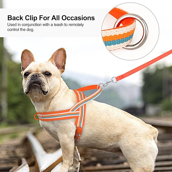 Beirui No Pull Dog Harness for Small Medium Dogs Puppies, Soft Neoprene Quick Fit Harness with Durable Front Clip & Back Clip, Lightweight Easy for Daily Walking (Striped Orange,S)