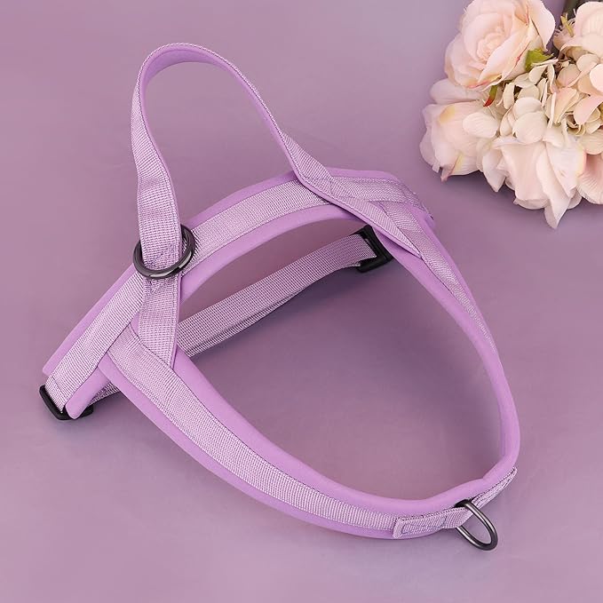 Beirui No Pull Dog Harness for Small Medium Dogs Puppies, Soft Neoprene Quick Fit Harness with Durable Front Clip & Back Clip, Lightweight Easy for Daily Walking (Purple,S)