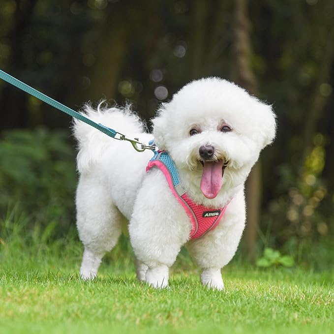 AIITLE Escape Proof Dog Harness - Step in Adjustable Dog Harness No Choke Over with Breathable Mesh and Quick-Release Buckle for Spring- Outdoor Walking, Camping, Training for Medium Dogs Hot Pink XL