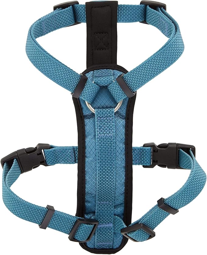 KONG Comfort Padded Chest Plate Dog Harness offered by Barker Brands Inc(Medium, Blue).