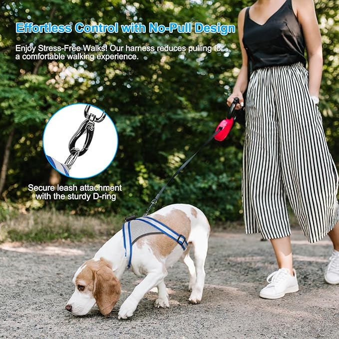 Visinite LED Dog Harness, USB Rechargeable Light Up Dog Harness Vest, 2 Illuminate Modes Glow in The Dark Dog Harness, Adjustable Lighted Dog Harness Light for Night Walking Safety (Blue, Small)