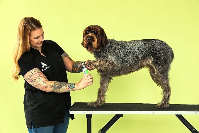 Andis 68575 Animal Nail Cutter for Small Breeds - Stainless Steel Blades with Sharp Efficiency - Designed for Repeated Use & Recommended by Pet Trainers – Medium Size & White/Green