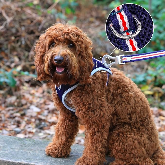 HUGO & HUDSON Dog Harness No-Pull Pet Harness Adjustable Quick Dry Mesh Padded Vest, Navy, XS