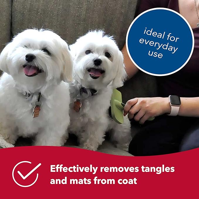 Coastal Pet Safari Curved Firm Slicker Brush - For Dog Grooming and Detangling All Hair Types - 6.5" x 3.06"