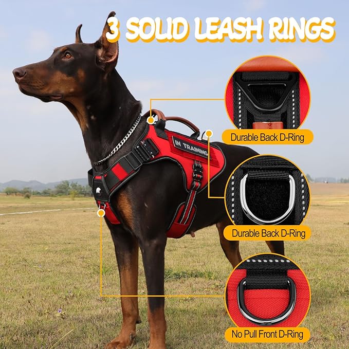 Tactical Dog Harness - HEYCAHVA Service Dog Vest Full Metal Buckles Dog Vest for Medium Large Dog Reflective No Pull Dog Harnesses Vest with Leather Handle, Hook & Loop for Hiking Training (Red, M)