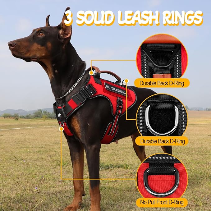 Service Dog Vest - HEYCAHVA Tactical Dog Harness Full Metal Buckles Dog Vest for Large Medium Dog Reflective No Pull Dog Harnesses Vest with Leather Handle, Hook & Loop for Hiking Training (Red, L)