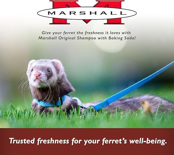 Marshall Pet Products Ferret Shampoo - Original Formula with Baking Soda, 8 oz - Gentle Cleaning, Odor Control, and Long-Lasting Freshness for Ferret Coats