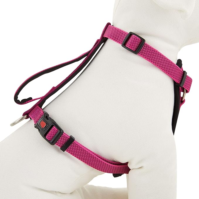 KONG Comfort Padded Chest Plate Dog Harness offered by Barker Brands Inc(Medium, Pink).