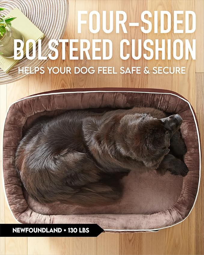 OhGeni Orthopedic Dog Bed for Extra Extra Large Dogs, Dog Couch Design with Egg Foam Support, Removable, Machine Washable Plush Cover and Non-Slip Bottom with Four Sided Bolster Cushion (Brown)