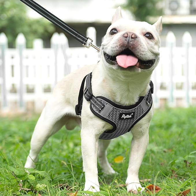 PUPTECK Comfortable Dog Vest Harness and Leash Set with Bags, Reflective Dog Harness Set, Step-in No Pull, Adjustable Breathable Mesh Dog Vest Harness, Grey L