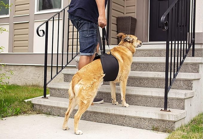 Dog Lift Sling Harness | Heavy Duty Adjustable Sling | Easy Full Body Mobility | Support for Elderly, Senior Dogs with Front/Rear Leg, Knee, Joint, Hip Injuries (XX-Large) Black