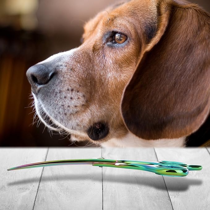 Premium 6.5 Inch Curved Grooming Scissors for Dogs - Sharp, Precise, and Comfortable - Durable Construction for Long-lasting Performance - Safety and Style Combined - Pet Grooming Scissors for dogs