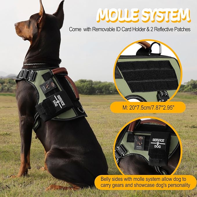 Tactical Dog Harness - HEYCAHVA Service Dog Vest Full Metal Buckles Dog Vest for Medium Large Dog Reflective No Pull Dog Harnesses Vest with Leather Handle, Hook & Loop for Hiking Training (Green, M)
