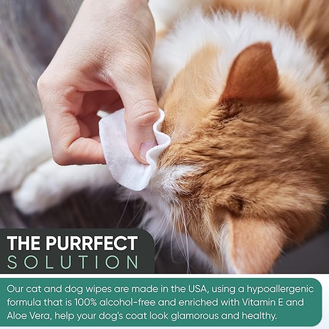 MAGICARE Dog Wipes for Paws, Butt, Ears & Eyes – 100 Extra Wet & Thick Unscented Grooming Pet Wipes for Dogs & Cats – Deodorizing, Hypoallergenic – Made in USA
