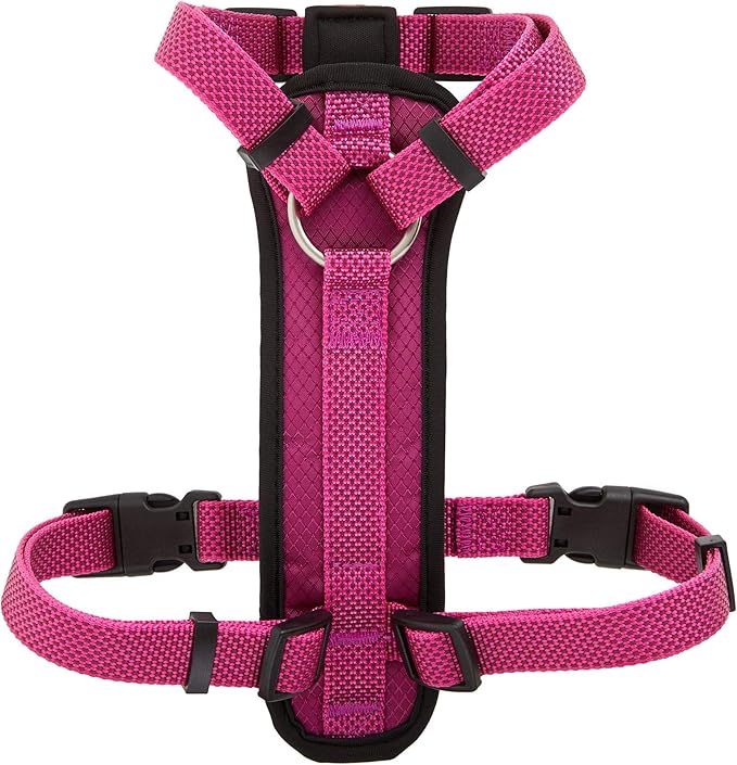 KONG Comfort Padded Chest Plate Dog Harness offered by Barker Brands Inc(Medium, Pink).