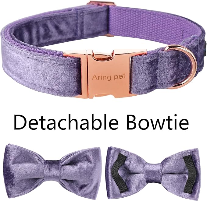 ARING PET Bowtie Dog Collar-Velvet Dog Collars with Removable Bowtie, Cute &Comfortable Purple Dog Collar,X-Large.