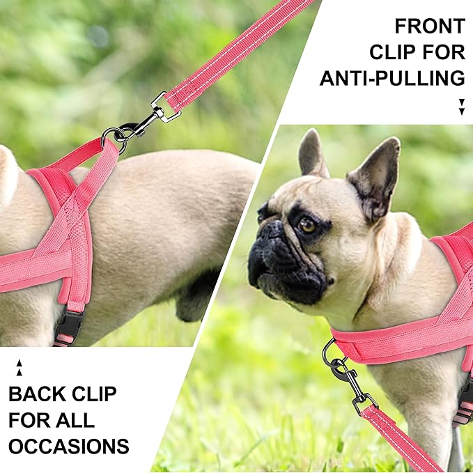 Beirui No Pull Dog Harness for Small Medium Dogs Puppies, Soft Neoprene Quick Fit Harness with Durable Front Clip & Back Clip, Lightweight Easy for Daily Walking (Pink,S)